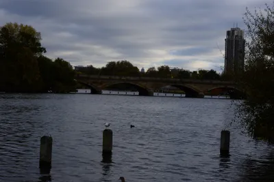 DSC_0527 (Large).JPG